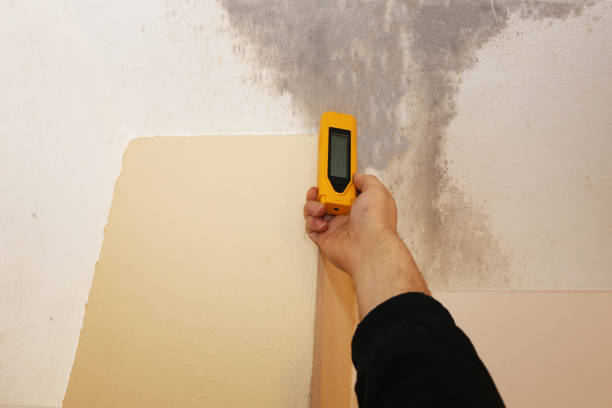 Best Mold Removal for HVAC Installations  in Vinita, OK