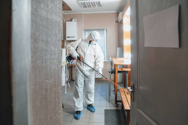 Best Comprehensive Air Testing for Mold Contaminants  in Vinita, OK