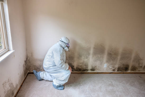 Mold Remediation for Rental Properties in Vinita, OK